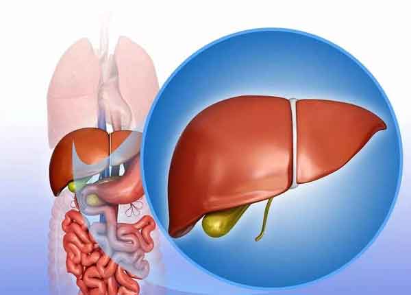 ,ʡҽҩԺҽԺβҽѲл